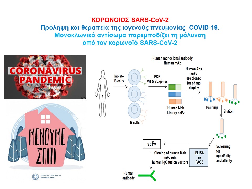 You are currently viewing ΚΟΡΩΝΟΙΟΣ SARS-CoV-2: Πρόληψη και θεραπεία της ιογενούς πνευμονίας COVID-19.