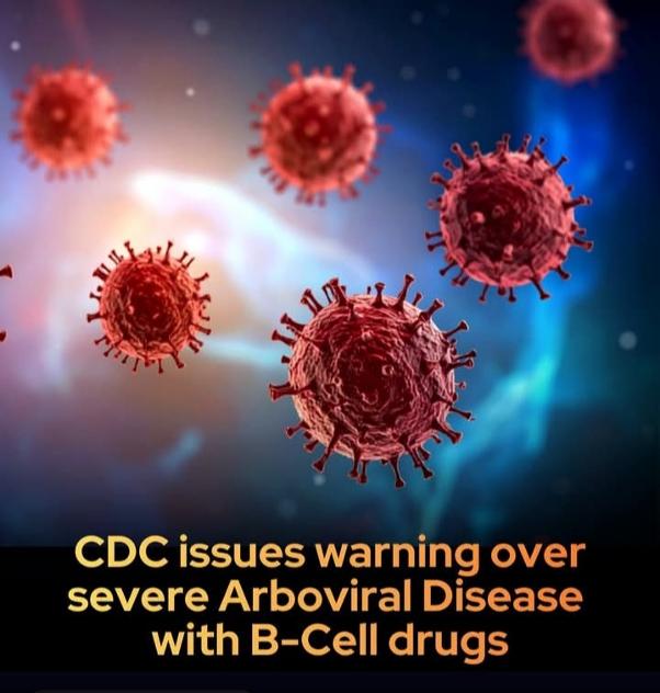 You are currently viewing Το CDC εκδίδει προειδοποίηση: Τα άτομα που λαμβάνουν φάρμακα που επηρεάζουν τα Β-κύτταρα αντιμετωπίζουν ποσοστό θνητότητας 40%  εάν προσβληθούν από ασθένειες που μεταδίδονται από κουνούπια.